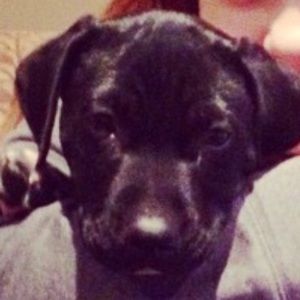 Meet your Posher, Maeson